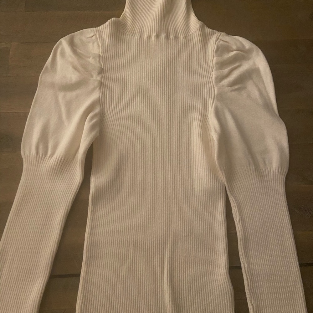 Anthropologie brand puff sleeve turtleneck